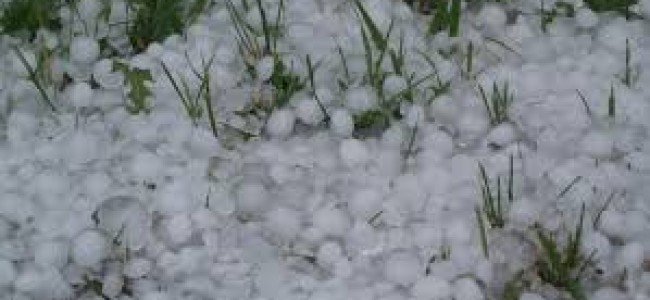 Hail storm plays havoc in North and South Kashmir.