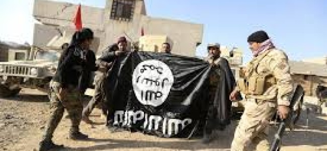 Syria’s SDF rebels capture parts of ISIL-held Raqqa