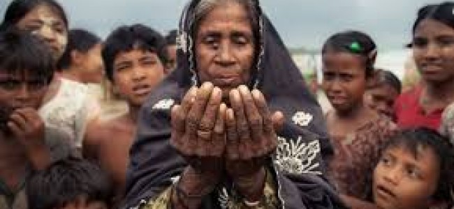 Rohingya crisis: Red Cross faced with ‘real challenge’