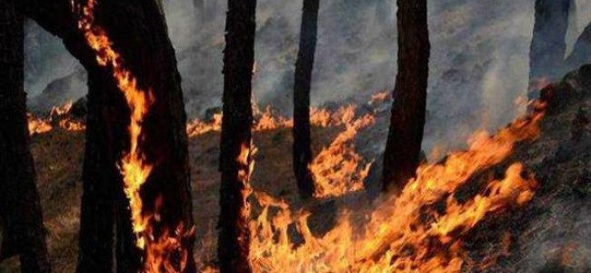 Fire breaks out in forest in J-K’s Rajouri