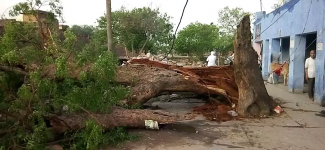 Over 90 dead after high-intensity storm wreaks havoc in Rajasthan, UP