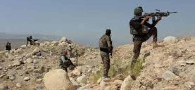 14 killed in Afghanistan clashes