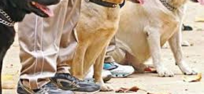 Sniffer dogs deployed to track militants in Kishtwar