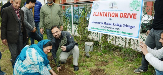 GMC Srinagar, Forest Deptt organizes plantation drive