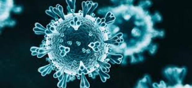Coronavirus: The Day Quarantine Completed, 3 Kashmiris Test Positive At Jaisalmer