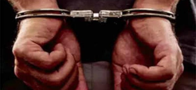 In Pulwama, duo arrested in a night raid