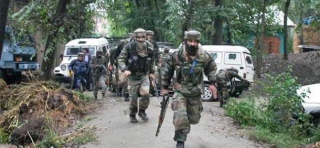 One militant killed in Shopian, operation on