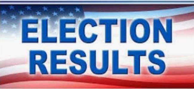 DDC Elections J&K. Leads / Win 255/280