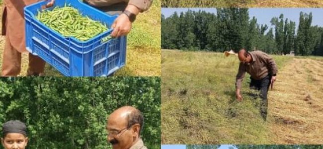 Director Agriculture Kashmir visits Patalbagh Pulwama
