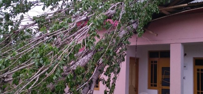 Thunder storm plays havoc in Srinagar.