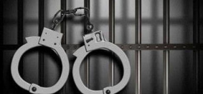 Three women drug peddlers from Punjab arrested in Kulgam says police