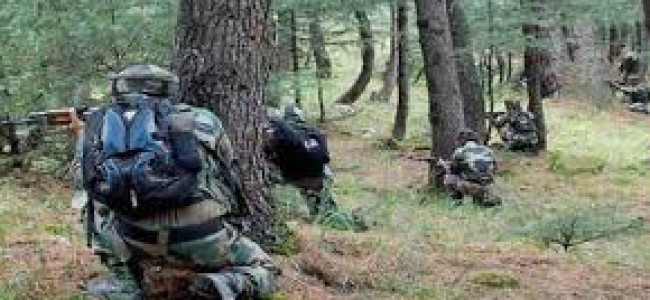Three militants killed in Pulwama encounter