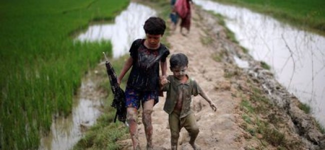 Myanmar’s Rohingya suffered for years, need lasting solution: Turkey