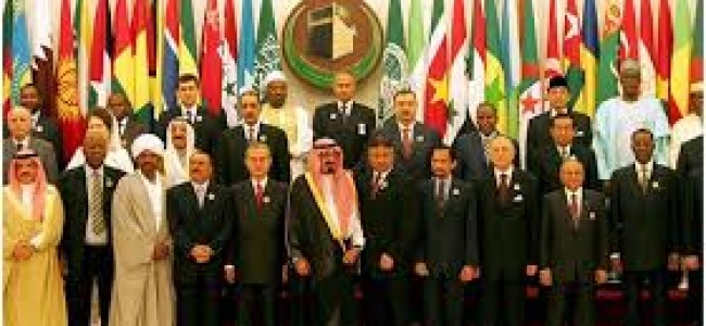 OIC urges Myanmar to allow in UN investigators