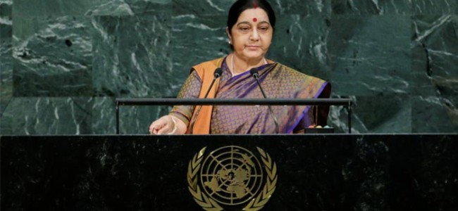 Chinese daily chides Sushma Swaraj over UN speech against Pakistan