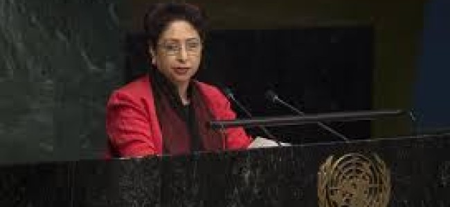 Pak raises Kashmir issue at UN, India calls it lonely voice