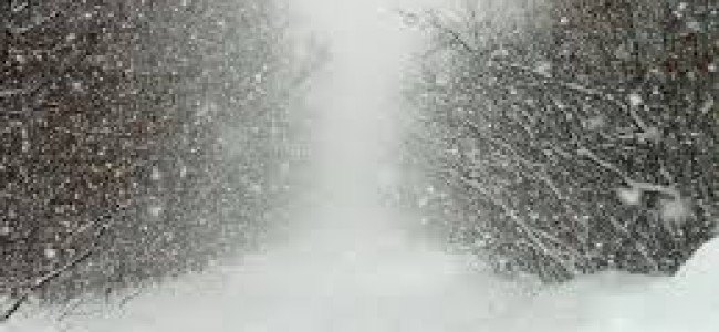 Rains, snow continue in Kashmir; Gulmarg receives 16 inches of snowfall