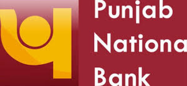 PNB fraud: Finmin asks banks to submit status report soon