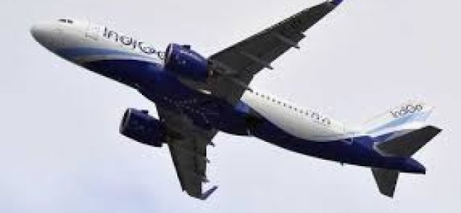 IndiGo, GoAir cancel 50 flights today
