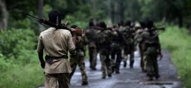 Gadchiroli encounter: 37 Naxals killed in major operation against Maoists