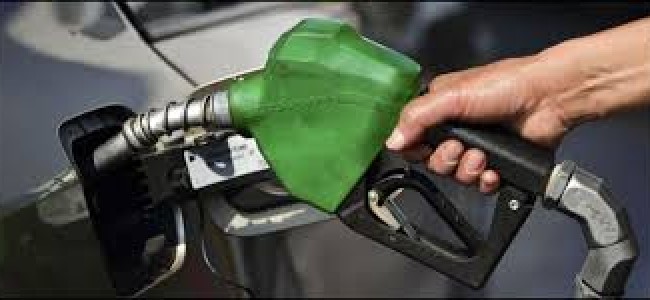 Govt asks oil retailers not to increase petrol, diesel prices