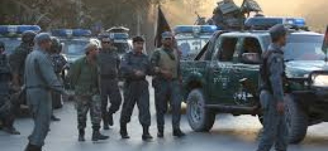 50 killed in Afghan fighting