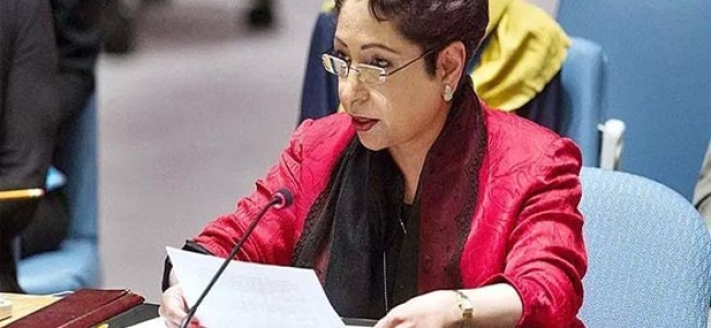 At UN, Pakistan calls for resolving Kashmir & Palestine disputes for world peace