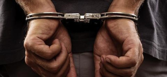 Four youth detained during night raids from Shopian village