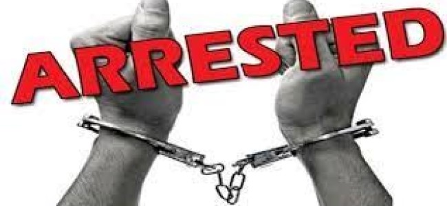 7 arrested in predawn raids in south Kashmir’s Pulwama