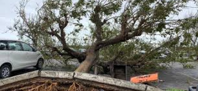 Over 160 dead as cyclone ‘Idai’ strikes Zimbabwe, Mozambique
