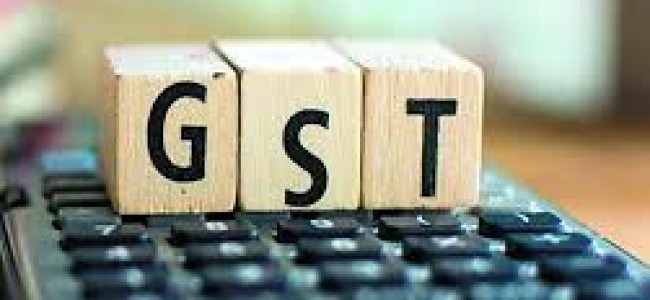 GST Council trims rate on electric vehicles, chargers to 5 pc