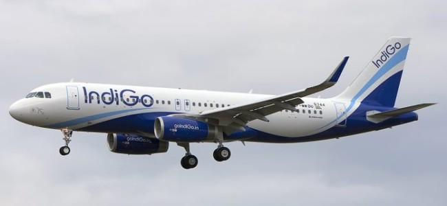 IndiGo to resume flights from 4 May in phased manner