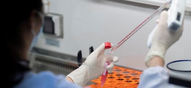 Confirmed Number Of Coronavirus Cases Worldwide Reach 20 Million