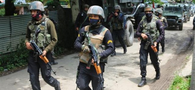 Pampore encounter:Militant killed, operation on