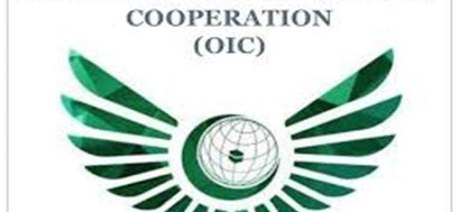 OIC contact group holds virtual meeting on Kashmir
