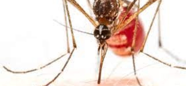 How to deal with dengue during Covid-19? States come up with new protocols
