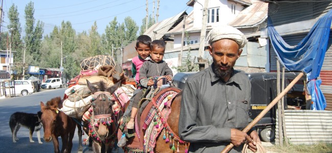 A journey of no joy for these nomads going back to Jammu