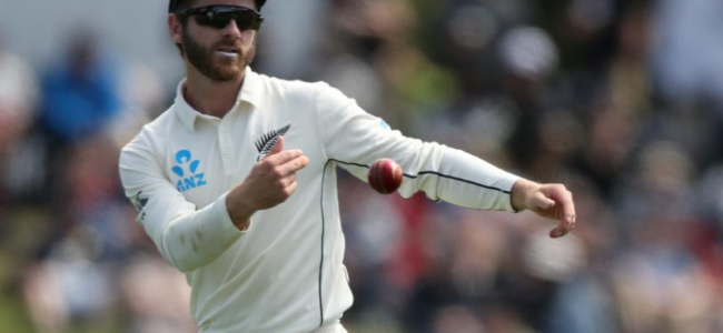 Williamson, Boult skip T20s as NZ focus on Test Championship