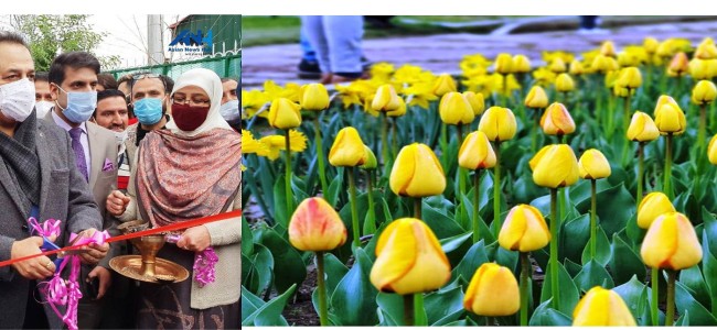 Advisor Baseer Khan declares Tulip Garden open for visitors