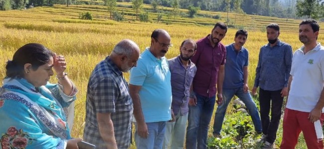 Director Agriculture Kashmir visits Srinagar areas