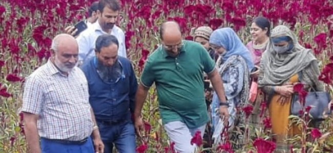 Department committed to preserve, promote heritage crops: Dir Agri