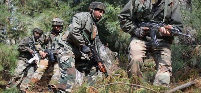 Militant Killed In Rajouri Woods: Army