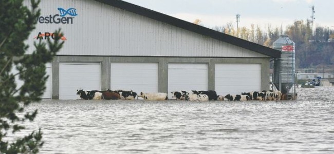 Airforce to evacuate people marooned by floods in Canada