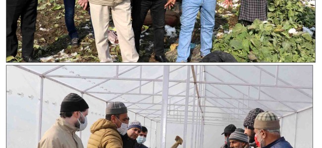 Director Agriculture visits Vegetable Clusters of Maloora, Srinagar