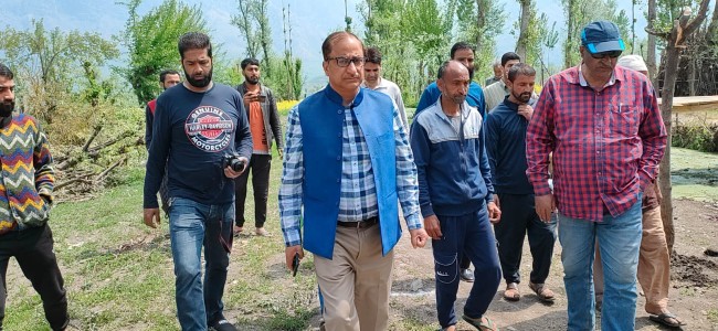 DG Horticulture conducts extensive tour of Dal Lake, adjoining areas