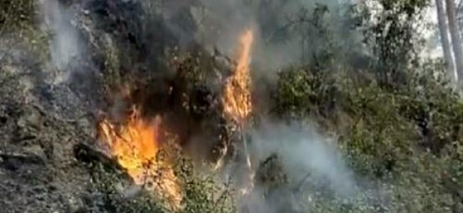 Forest area in J&K’s Udhampur under blaze for last 4 days