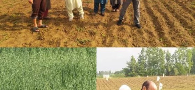 Director Agriculture Kashmir visits Agriculture farm Allowpora