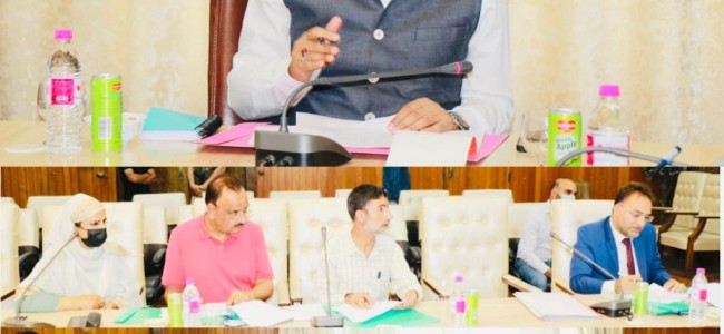 DC Srinagar chairs DLTFC meeting