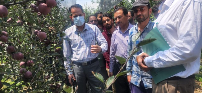 Director Horticulture tours various areas of Kulgam