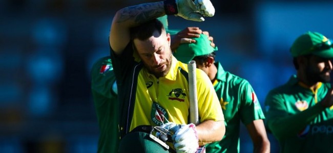 Matthew Wade could be looked at as new T20 captain by Cricket Australia: Report
